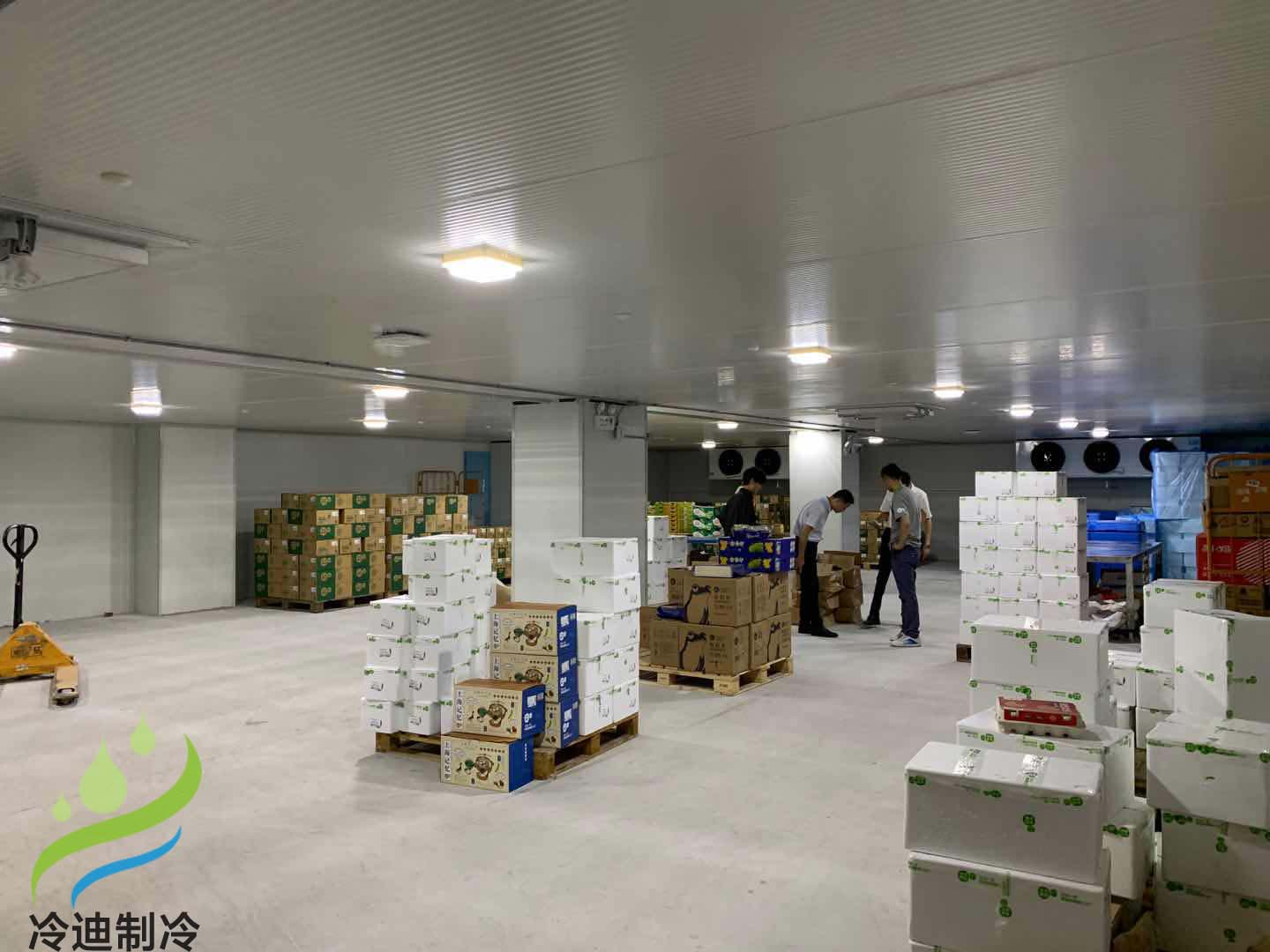 1000平米冷藏冷庫(kù)