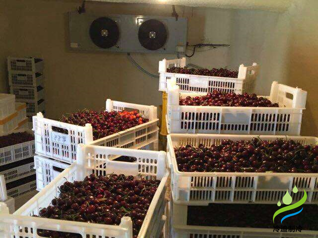 建設(shè)50噸車?yán)遄颖ｕr氣調(diào)冷庫造價(jià)多少錢？