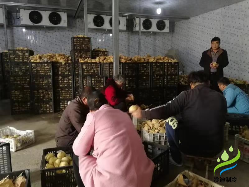 桃子冷庫(kù)保鮮技術(shù)