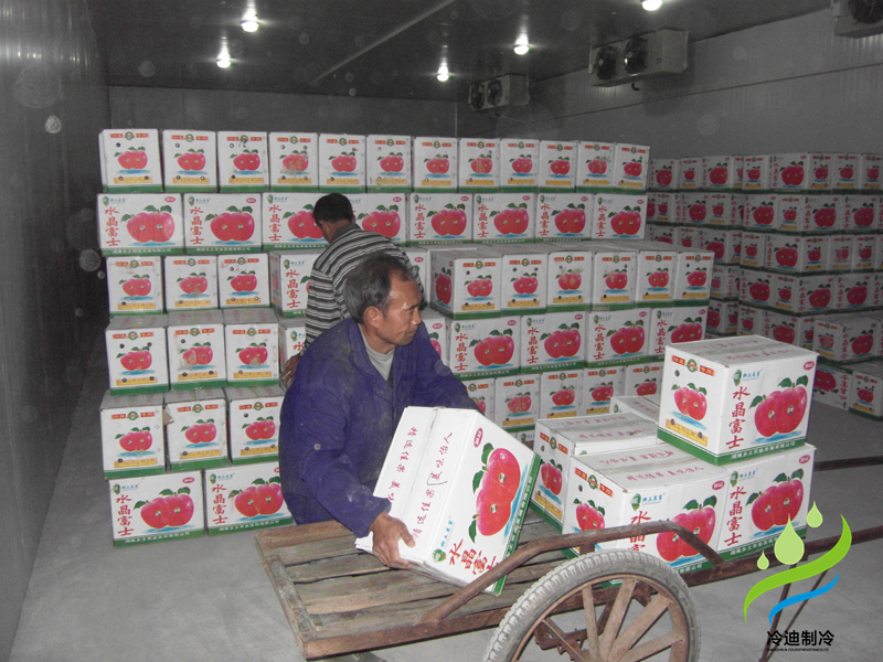 安裝一個蘋果保鮮冷庫大概多少錢？