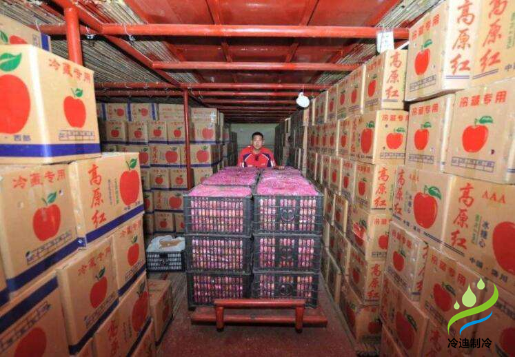 安裝一個蘋果保鮮冷庫大概多少錢？