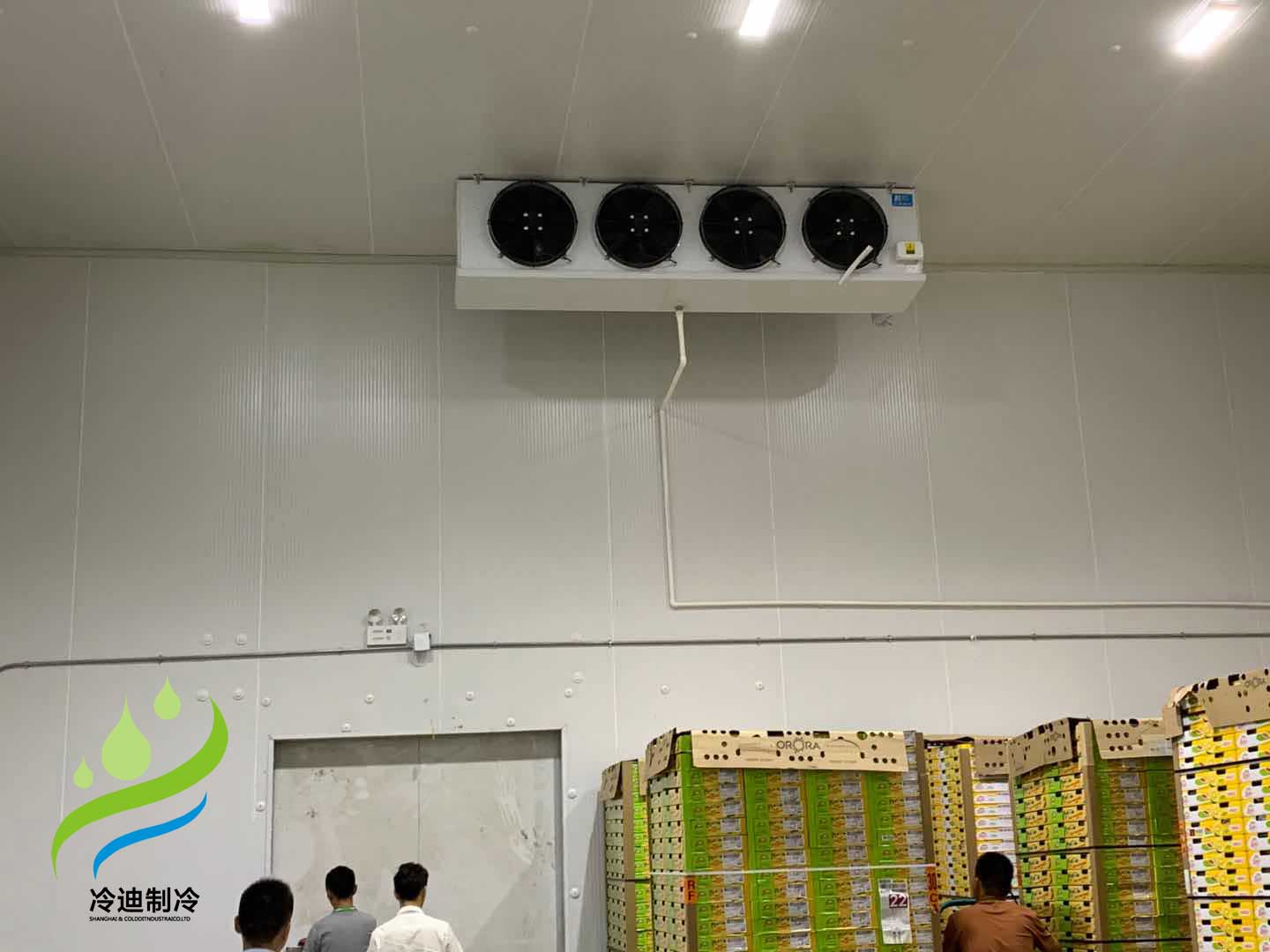 建造100平方棗子保鮮冷庫造價多少錢？