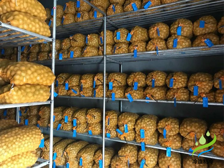 建造100噸土豆冷庫面積及冷庫造價多少錢？