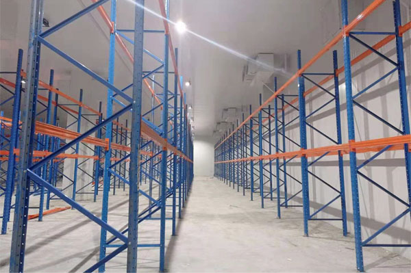 建造一個櫻桃保鮮冷庫多少錢？(圖2)