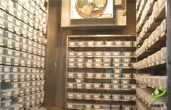 安裝一個(gè)小型種子冷庫(kù)大概要多少錢(qián)？